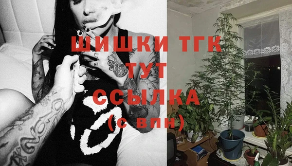 таблы Надым
