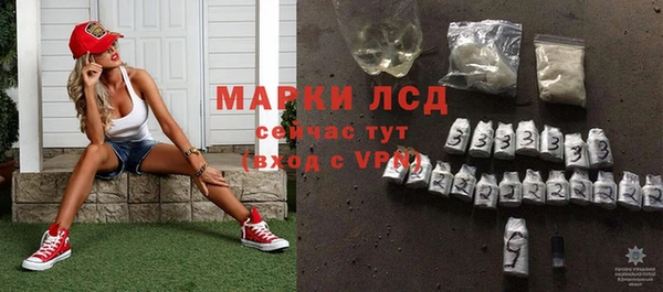 спайс Аша