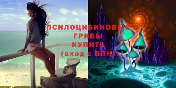 2c-b Абдулино