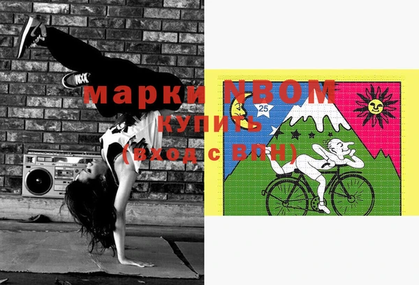 дмт Абаза