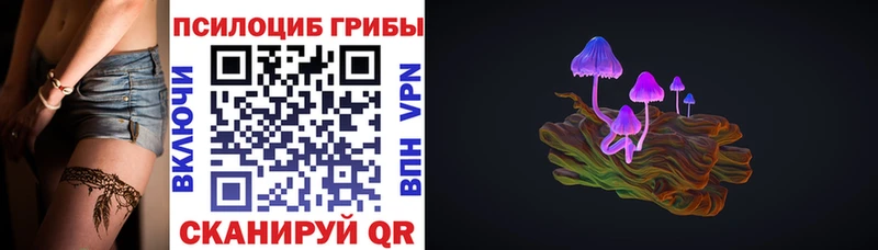 Галлюциногенные грибы Cubensis  продажа наркотиков  Власиха 